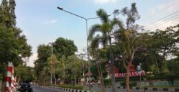 perbaikan lampu pju cirebon featured image